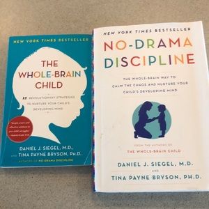 Daniel Seigel’s No Drama Discipline and Whole Brain child